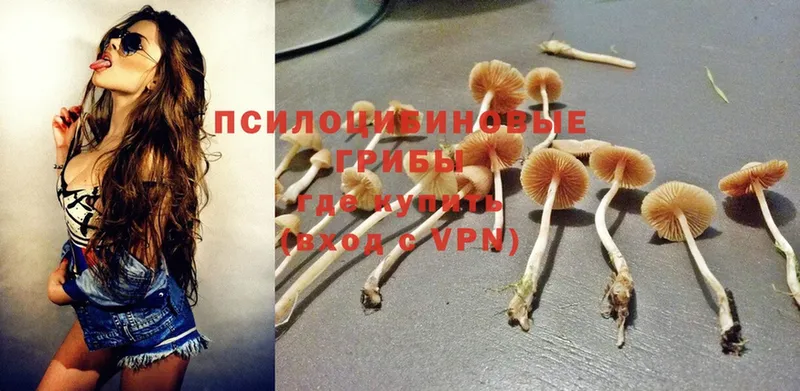 Галлюциногенные грибы MAGIC MUSHROOMS  дарнет шоп  кракен ССЫЛКА  Верхоянск 